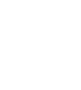Minimalist tulip and wave design